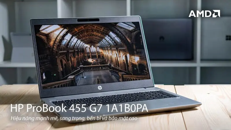 HP ProBook 455 G7 1A1B0PA: Laptop với hiệu năng mạnh mẽ, sang trọng, bền bỉ và bảo mật cao