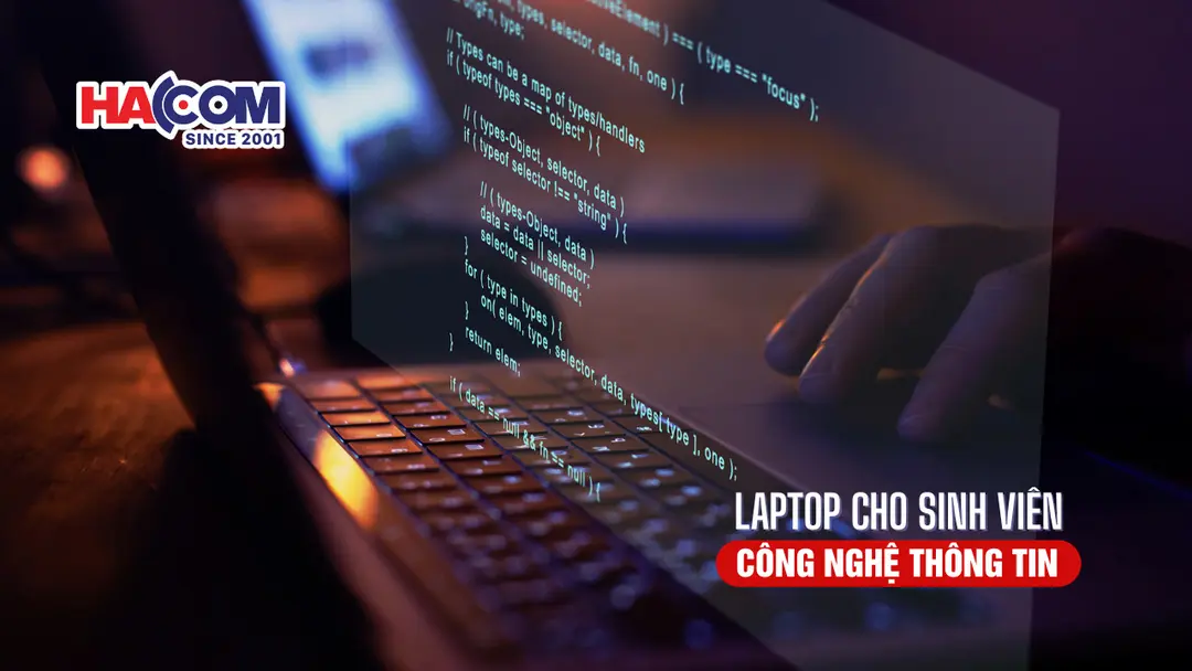 Top 5 laptop cho sinh viên công nghệ thông tin đáng mua nhất năm 2025