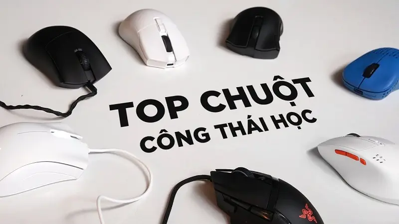 Top 5 chuột công thái học đáng mua nhất năm 2023
