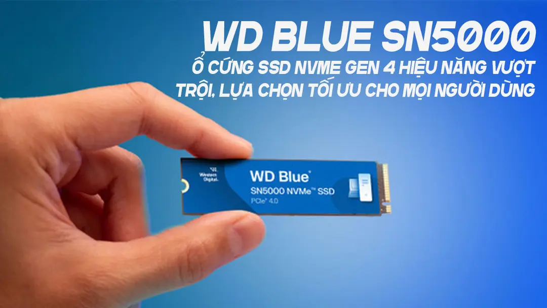 WD Blue SN5000: Ổ Cứng SSD NVMe Gen 4 Hiệu Năng Vượt Trội, Lựa Chọn Tối Ưu Cho Mọi Người Dùng