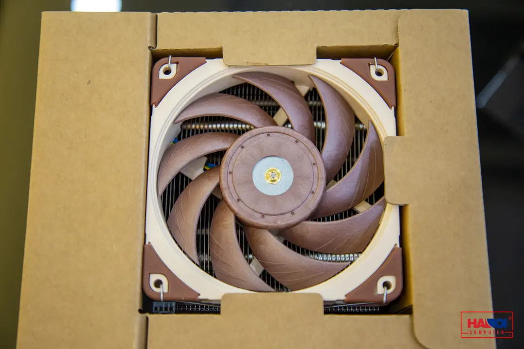 47789_noctua_nh_u12a__10_.jpg 12