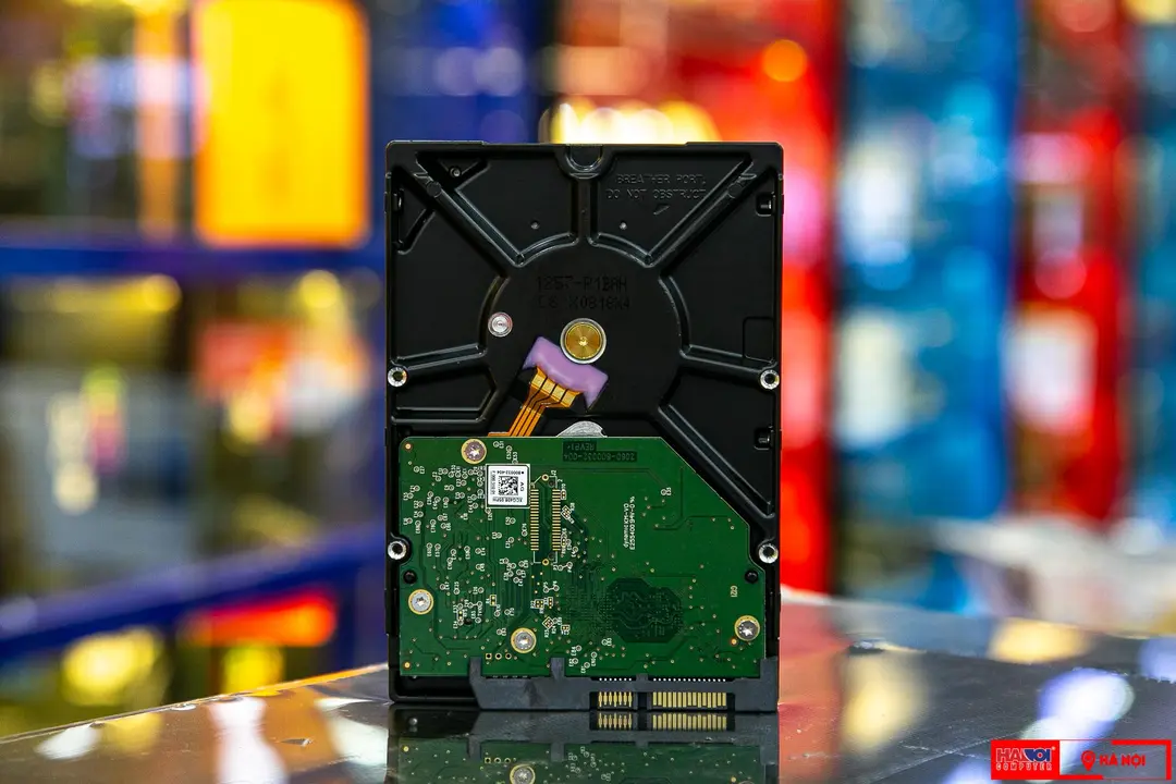 51399_hdd_wd_gold_1tb35sata_3128mb_cache7200rpm_wd1005fbyz_33.jpg 4