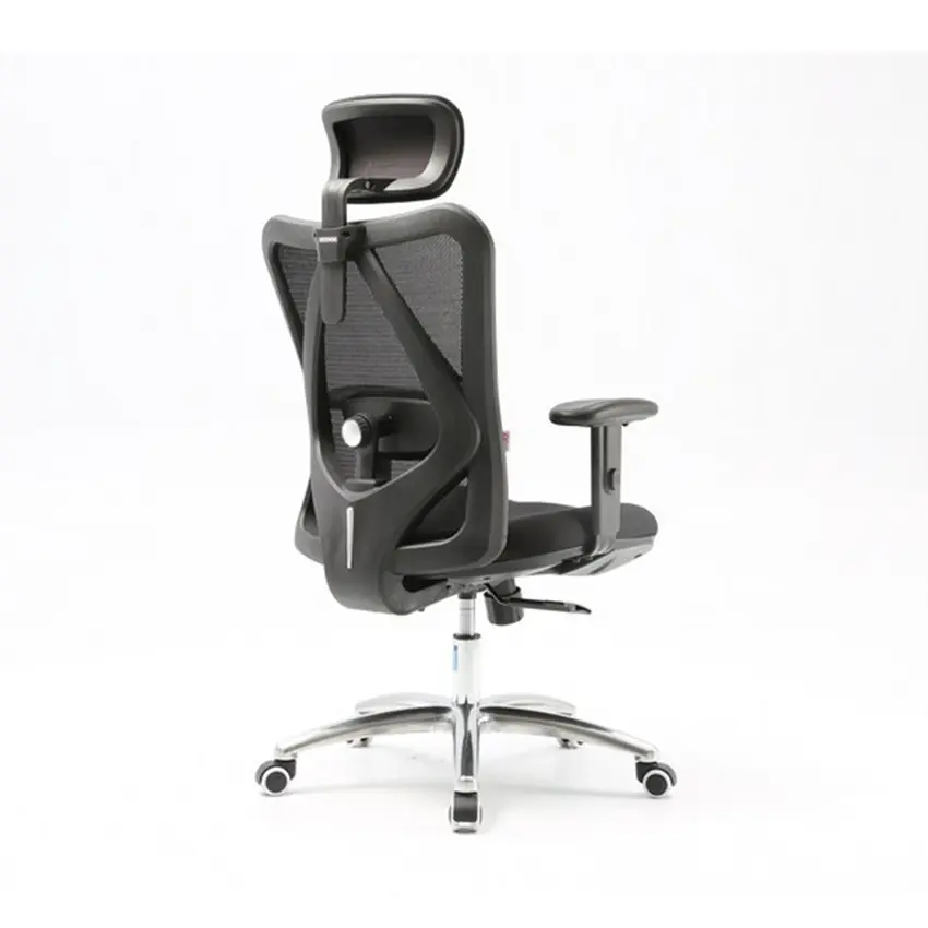 64212_ghe_cong_thai_hoc_ergonomic_sihoo_m18_n102_black_6.jpg 4