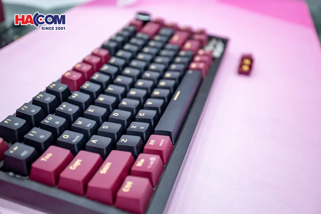 78068_ban_phim_co_gaming_edra_ek375_alpha_brown_switch_usb_pbt_led_rainbow_08.JPG 10