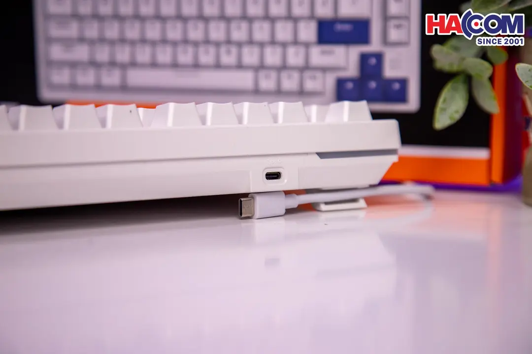 78808_dareu_ek75_full_white__dream_switch_010.jpg 9