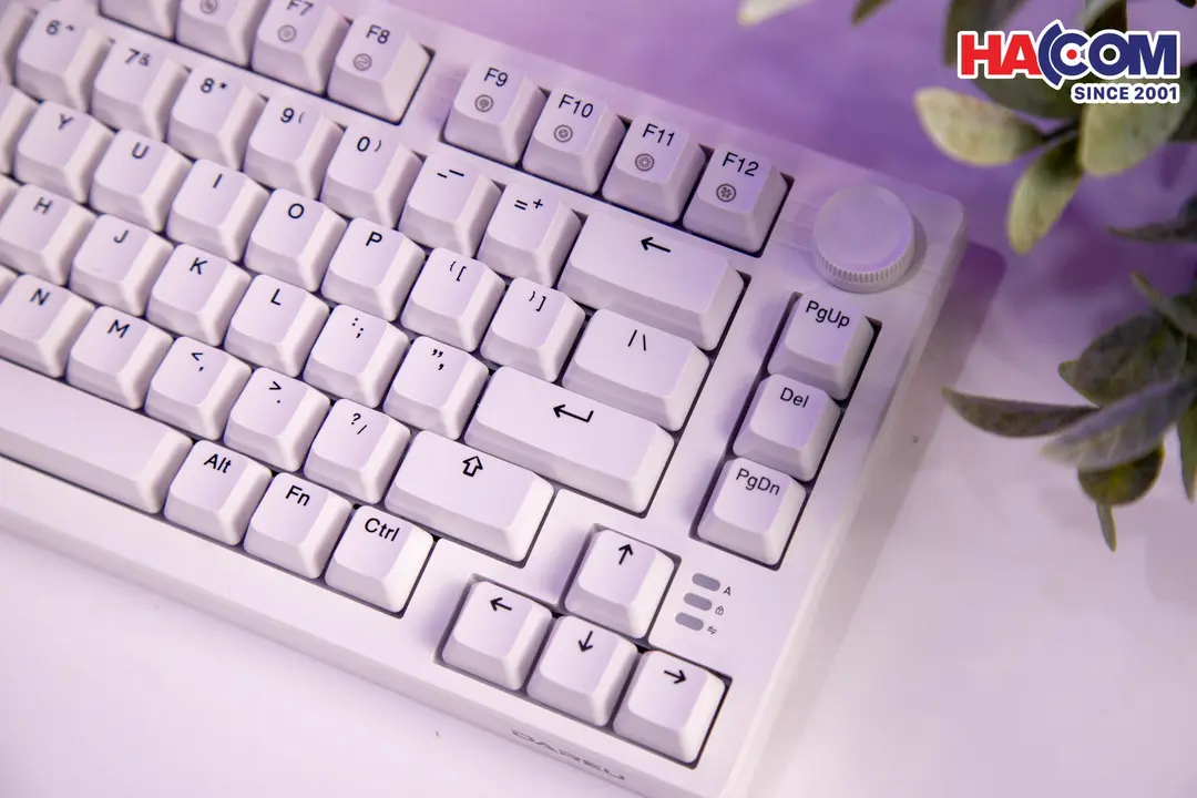 78808_dareu_ek75_full_white__dream_switch_02.jpg 5