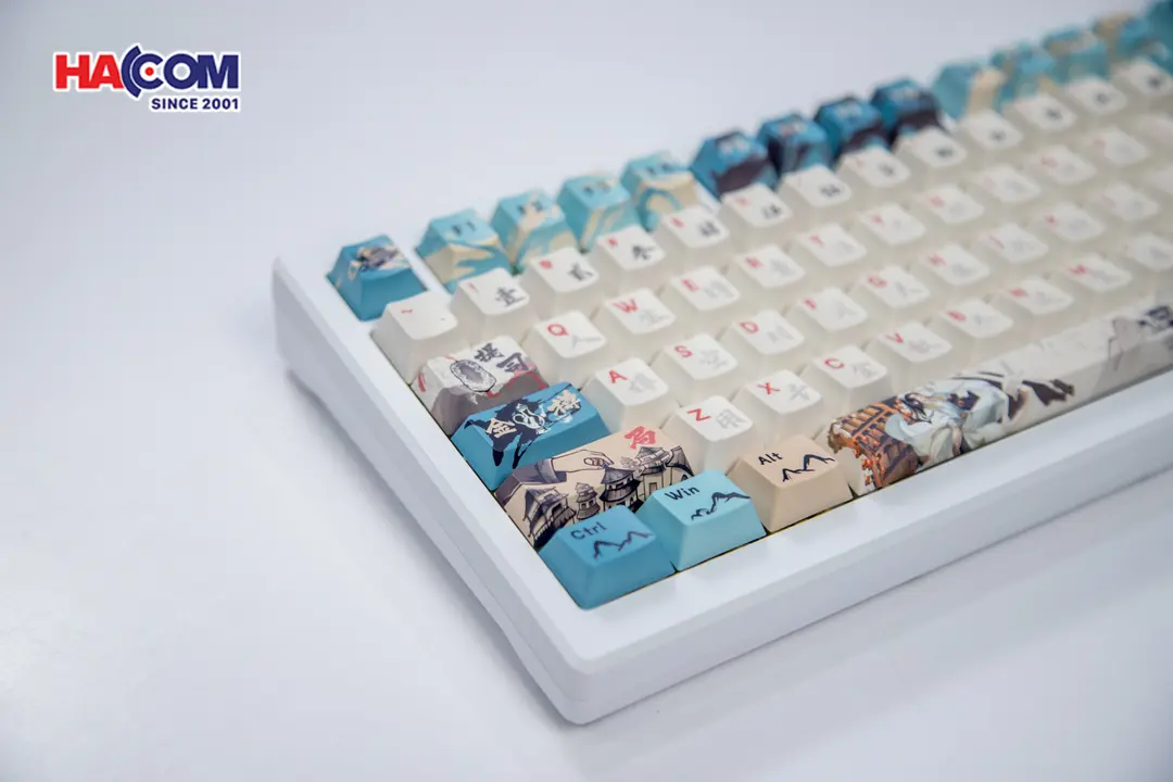 85382_ban_phim_co_akko_mod_007b_he_pc_joy_of_life_004.JPG 7