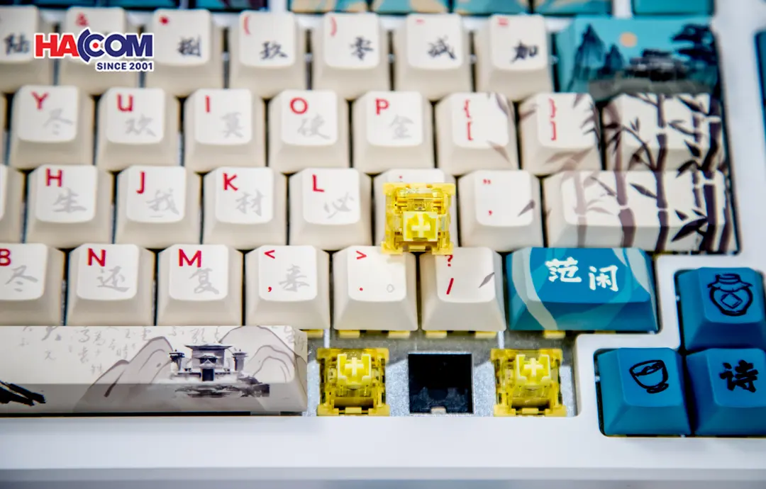 85382_ban_phim_co_akko_mod_007b_he_pc_joy_of_life_007.JPG 10