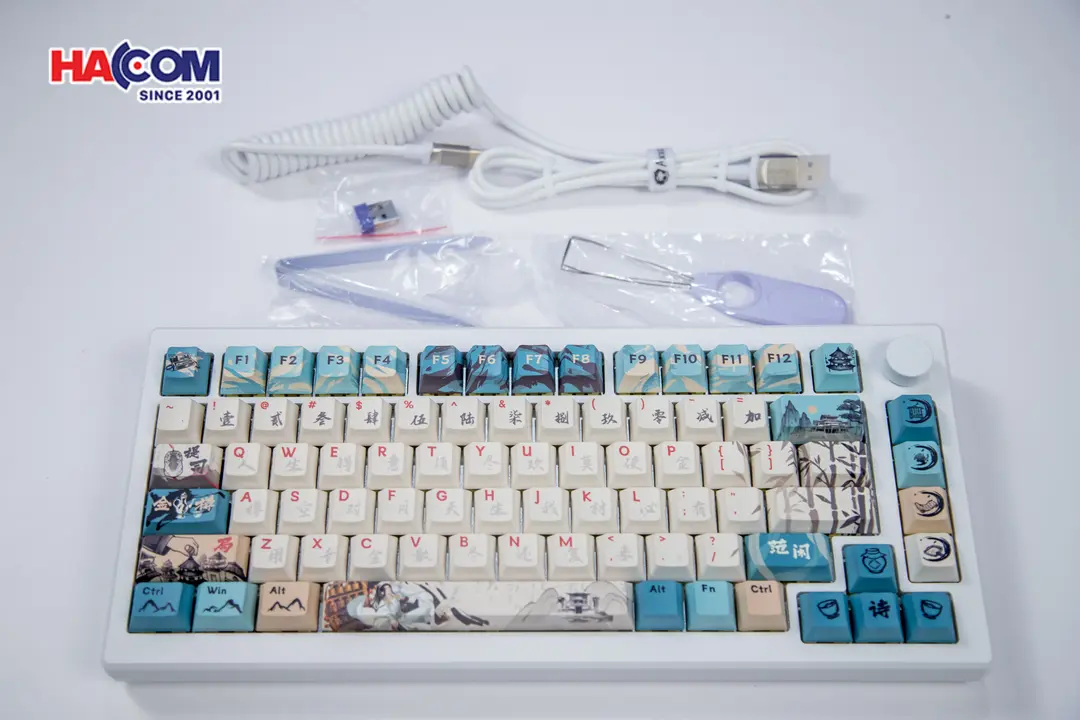 85382_ban_phim_co_akko_mod_007b_he_pc_joy_of_life_002.JPG 5