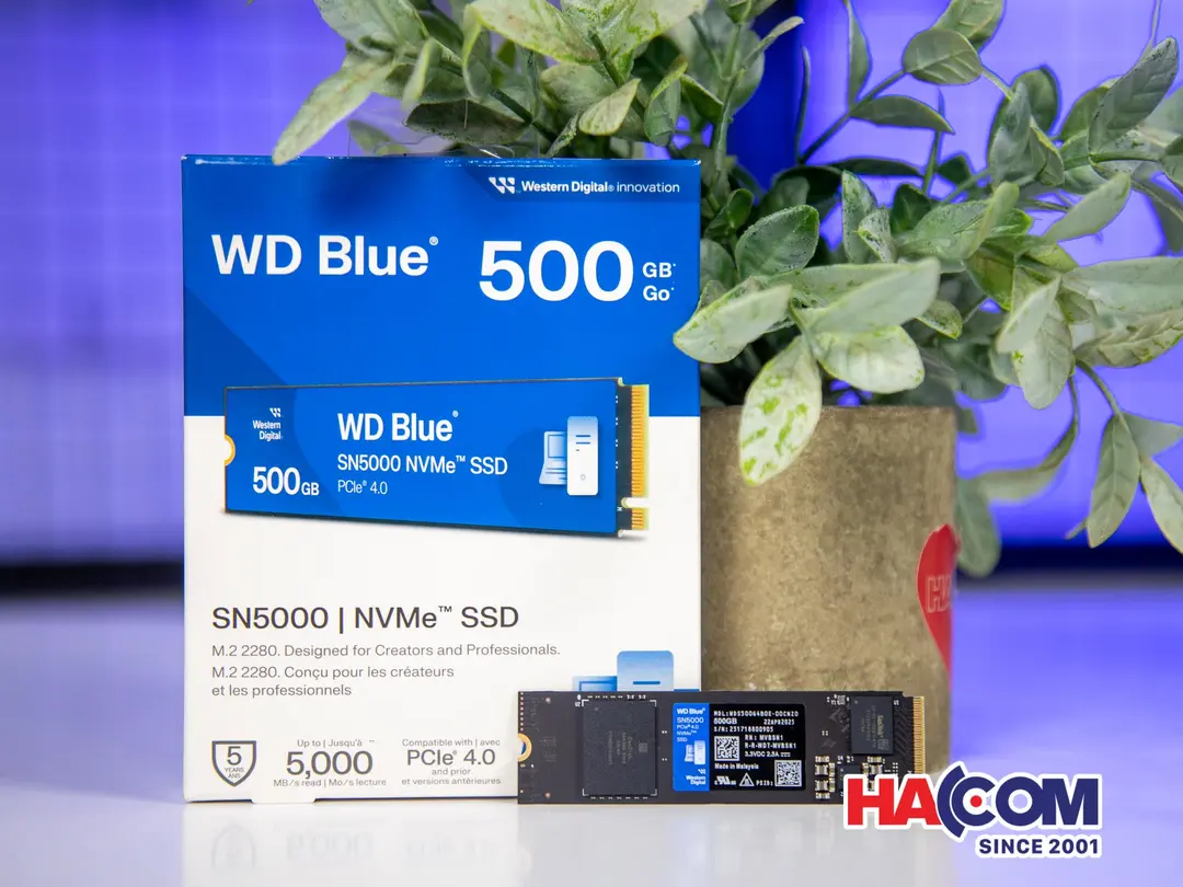85907_o_cung_ssd_wd_sn5000_blue_500gb_hacom__3_.jpg 4