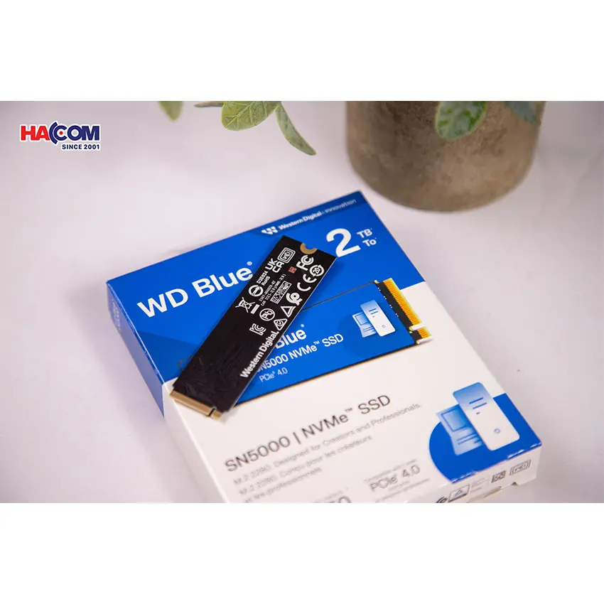 85909_o_cung_ssd_wd_sn5000_blue_2tb_m__4_.jpg 4