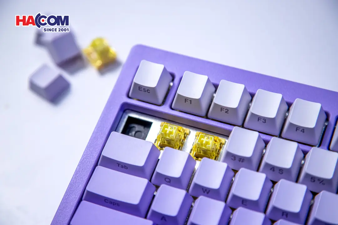 86052_ban_phim_co_akko_monsgeek_m1w_he_sp_v3_lilac_purple_rgb_hotswap_magnetic_switch_003.JPG 9