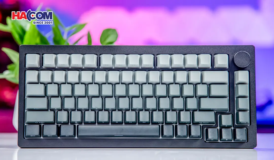 86053_ban_phim_co_akko_monsgeek_m1w_he_sp_v3_dark_night_rgb_hotswap_magnetic_switch_003.JPG 8
