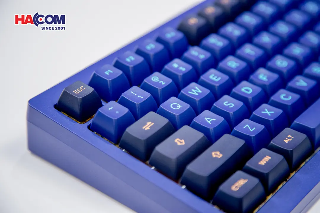 86152_ban_phim_akko_monsgeek_m1w_he_sp_v3_horizon_blue_rgb_hotswap_magnetic_switch_004.JPG 4