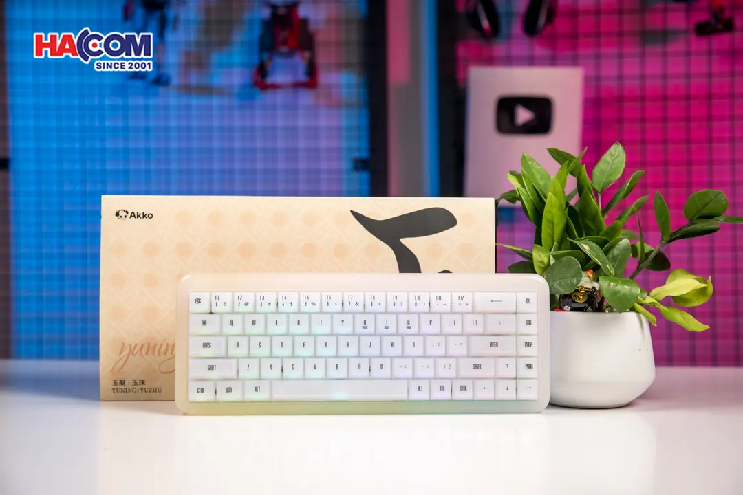 86819_ban_phim_akko_yu01_white_jade_rgb_hotswap_piano_pro_sw_multi_mode_04.JPG 8