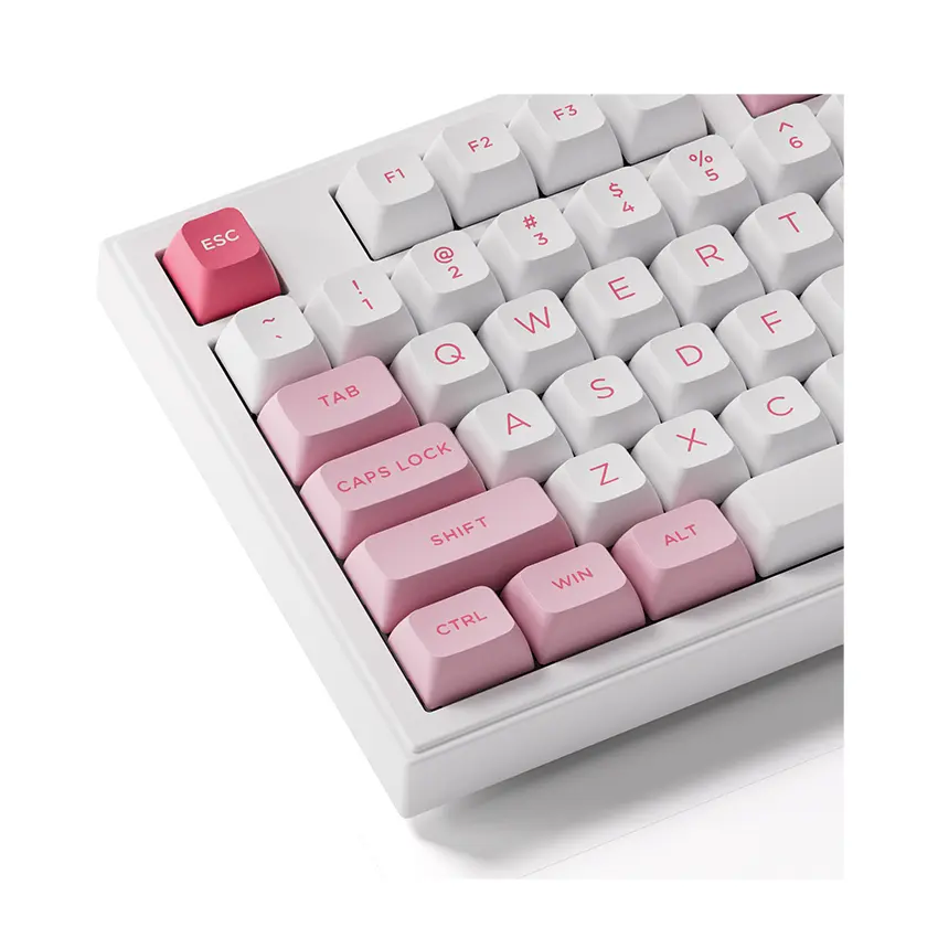 87853_ban_phim_akko_5098b_wasteland_survival_rgb_hotswap_akko_v3_piano_pro_6.jpg 5