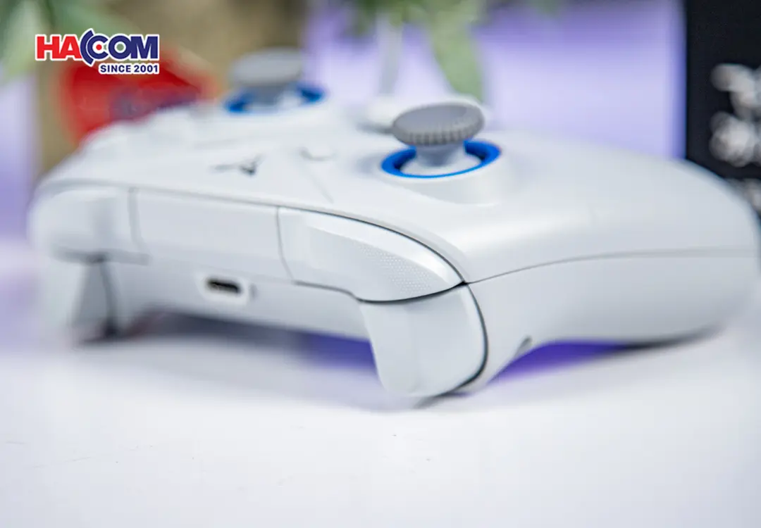 89524_tay_cam_choi_game_flydigi_direwolf_2_mau_xam_012.JPG 14