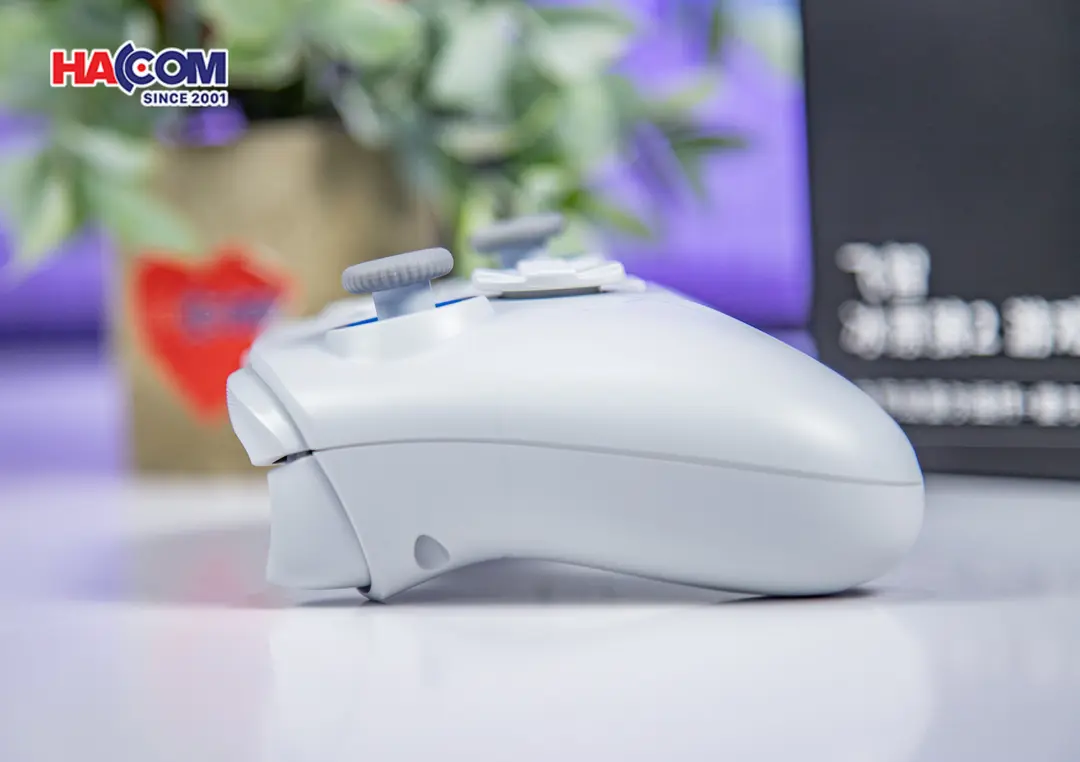 89524_tay_cam_choi_game_flydigi_direwolf_2_mau_xam_013.JPG 15