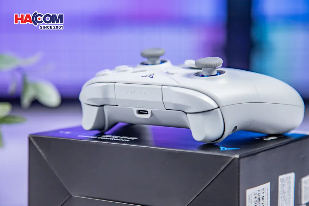 89523_tay_cam_choi_game_flydigi_direwolf_3_mau_xam_08.JPG 8