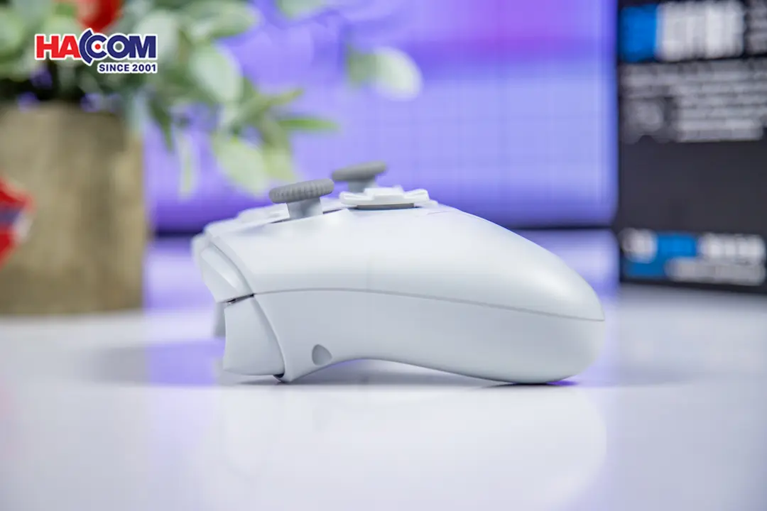 89523_tay_cam_choi_game_flydigi_direwolf_3_mau_xam_010.JPG 10