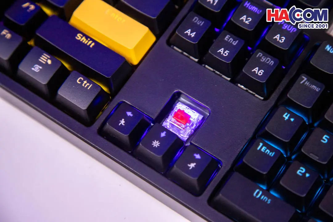 89928_ban_phim_co_gaming_co_day_edra_ek316_05.jpg 9