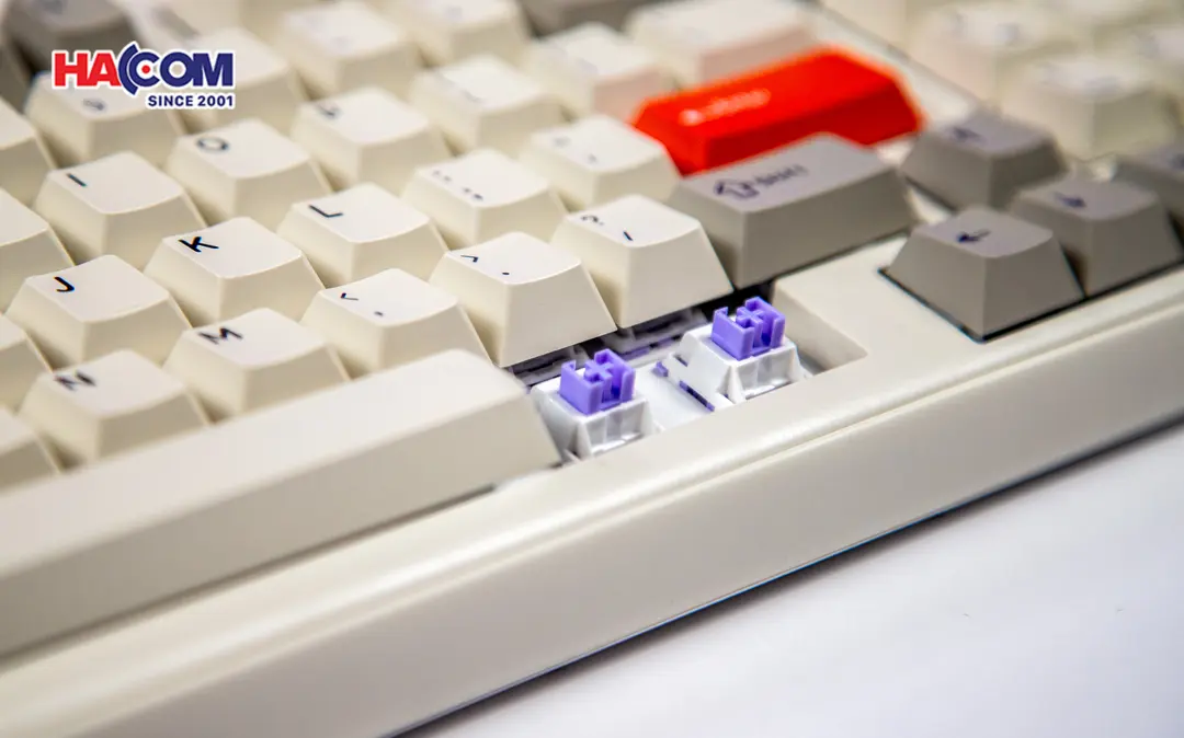 83010_ban_phim_co_dareu_ek98_pro_proto_3_modes_pbt_rgb_dream_switch_009.JPG 11