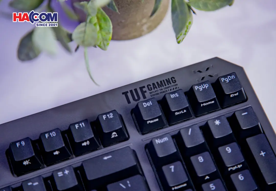 83438_ban_phim_co_asus_tuf_k3_gen_ii_black_07.JPG 14
