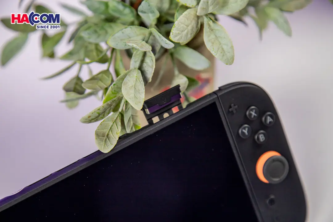 90276_may_choi_game_nintendo_switch_2_020.jpg 23