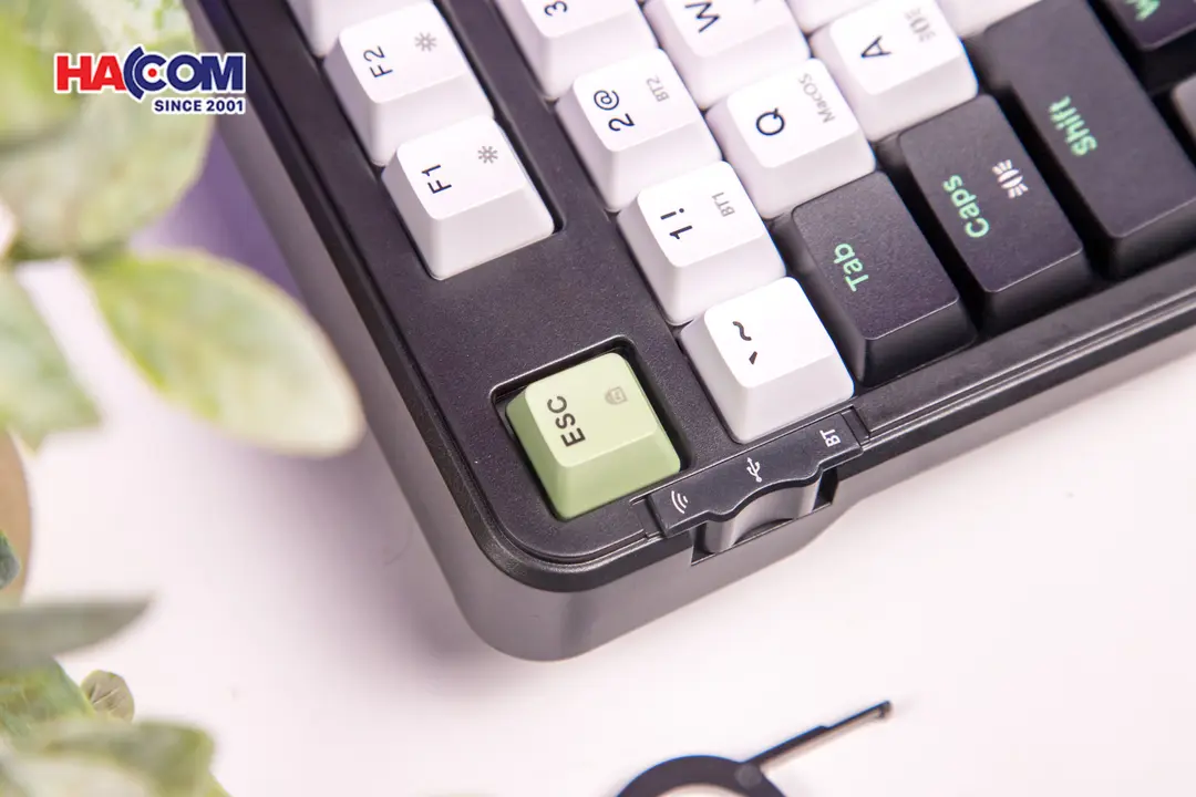 92292_ban_phim_co_edra_ek398w_3_mode_black_white_green_blueberry_linear_switch_06.JPG 8