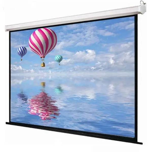 Màn chiếu treo tường Dalite PW150WS_02