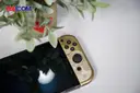 71385_may_choi_game_nintendo_switch_oled_model_the_legend_of_zelda_tears_of_the_kingdom_edition_007.JPG 11
