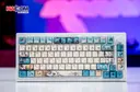 85382_ban_phim_co_akko_mod_007b_he_pc_joy_of_life_003.JPG 6