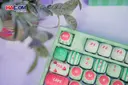 87854_ban_phim_monsgeek_mg108b_watermelon_multi_modes_rgb_hotswap_07.JPG 9