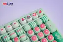 87854_ban_phim_monsgeek_mg108b_watermelon_multi_modes_rgb_hotswap_08.JPG 10