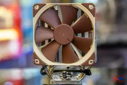 47790_noctua_nh_u12s__3_.jpg 5