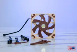 47793_noctua_nf_a12x15__4_.jpg 9