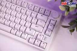 78808_dareu_ek75_full_white__dream_switch_02.jpg 5