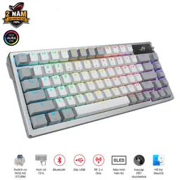79035_rog_azoth_white_st_04.jpg 5