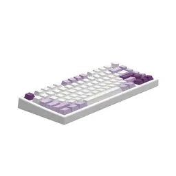 70884_ban_phim_co_fl_esports_gp75cpm_white_body_taro_purple_brown_switch_kailh_box_5.jpg 3