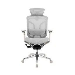 85362_ghe_cong_thai_hoc_gtchair_dvary_butterfly_pro_trang_007.jpg 6