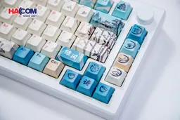 85382_ban_phim_co_akko_mod_007b_he_pc_joy_of_life_005.JPG 8