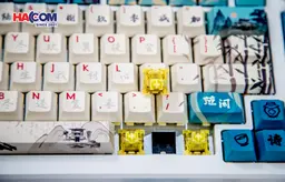85382_ban_phim_co_akko_mod_007b_he_pc_joy_of_life_007.JPG 10