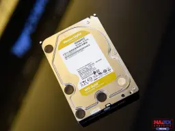 85964_hdd_wd_gold_4tb_wd4004fryz_6.jpg 4
