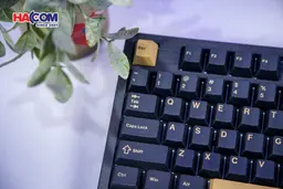 86857_ban_phim_co_gaming_dareu_ek75_rt_rapid_trigger_rgb_hotswap_magnetic_switch_07.JPG 12