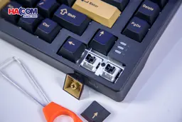 86857_ban_phim_co_gaming_dareu_ek75_rt_rapid_trigger_rgb_hotswap_magnetic_switch_013.JPG 18