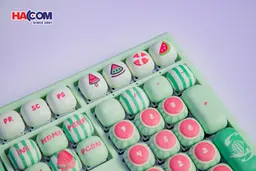 87854_ban_phim_monsgeek_mg108b_watermelon_multi_modes_rgb_hotswap_08.JPG 10