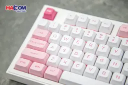 87853_ban_phim_akko_5098b_prunus_lannesiana_rgb_hotswap_akko_v3_piano_pro_06.JPG 11