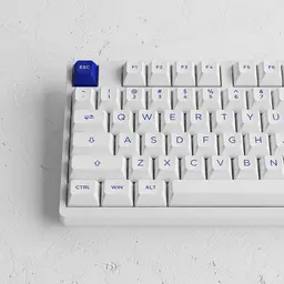 89010_ban_phim_akko_3098b_multi_modes_blue_on_white_akko_cs_switch_jelly_pink_5.jpg 4