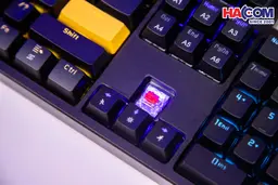 89928_ban_phim_co_gaming_co_day_edra_ek316_05.jpg 9