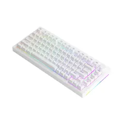 81106_ban_phim_co_akko_5075b_plus_white_akko_switch_v3_cream_blue_pro_4.jpg 3